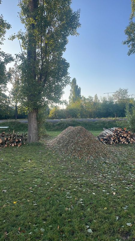 ZŠ n MŠ Sdružení, Praha - Nusle, podzim 2024 — fotografie 11 z 12