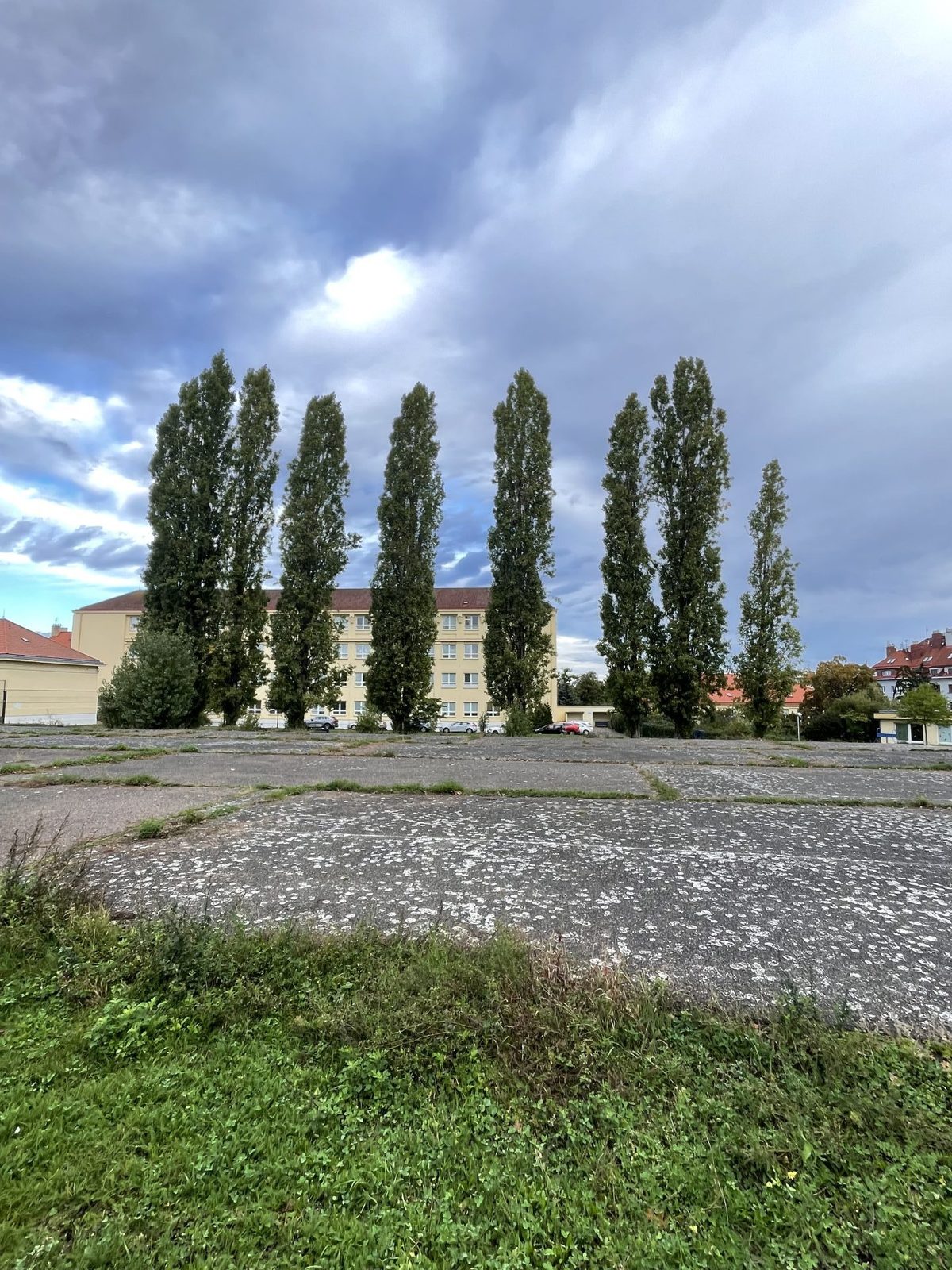 ZŠ n MŠ Sdružení, Praha - Nusle, podzim 2024 — fotografie 1 z 12