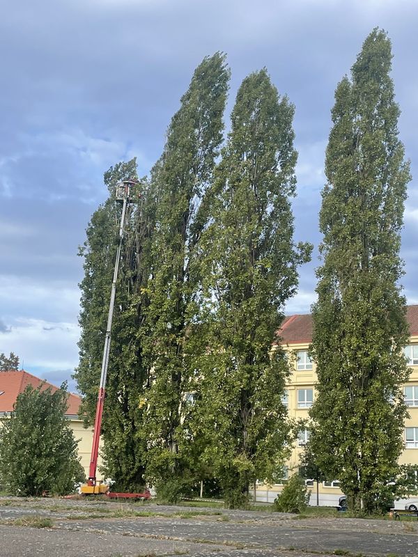 ZŠ n MŠ Sdružení, Praha - Nusle, podzim 2024 — fotografie 4 z 12