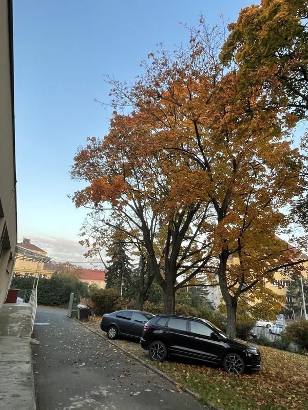 ZŠ n MŠ Sdružení, Praha - Nusle — fotografie 3 z 7