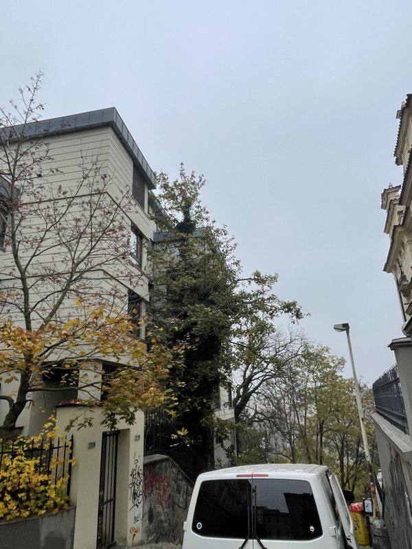 Rezidence Charlotta Nouvelle, Jana Masaryka Praha - Vinohrady, redukce 2 javorů — fotografie 3 z 13