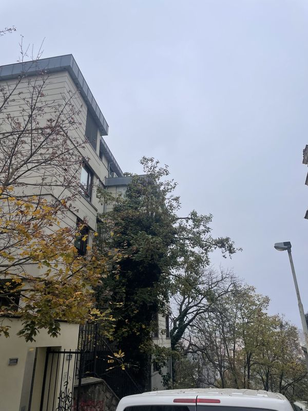 Rezidence Charlotta Nouvelle, Jana Masaryka Praha - Vinohrady, redukce 2 javorů — fotografie 2 z 13