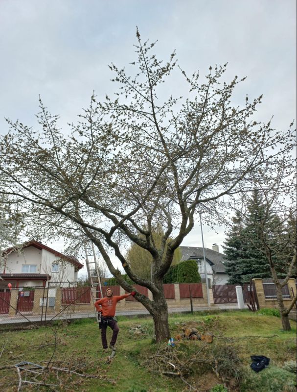 Křeslice, duben 2025 — fotografie 2 z 3
